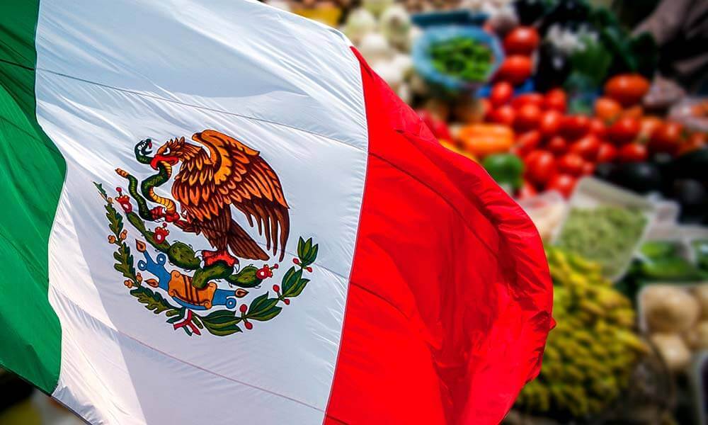Resultado de imagen para productos mexicanos